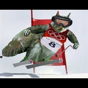 Meet your Posher, Will